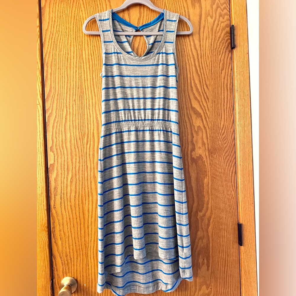Icebreaker Blue and Gray Striped Dress